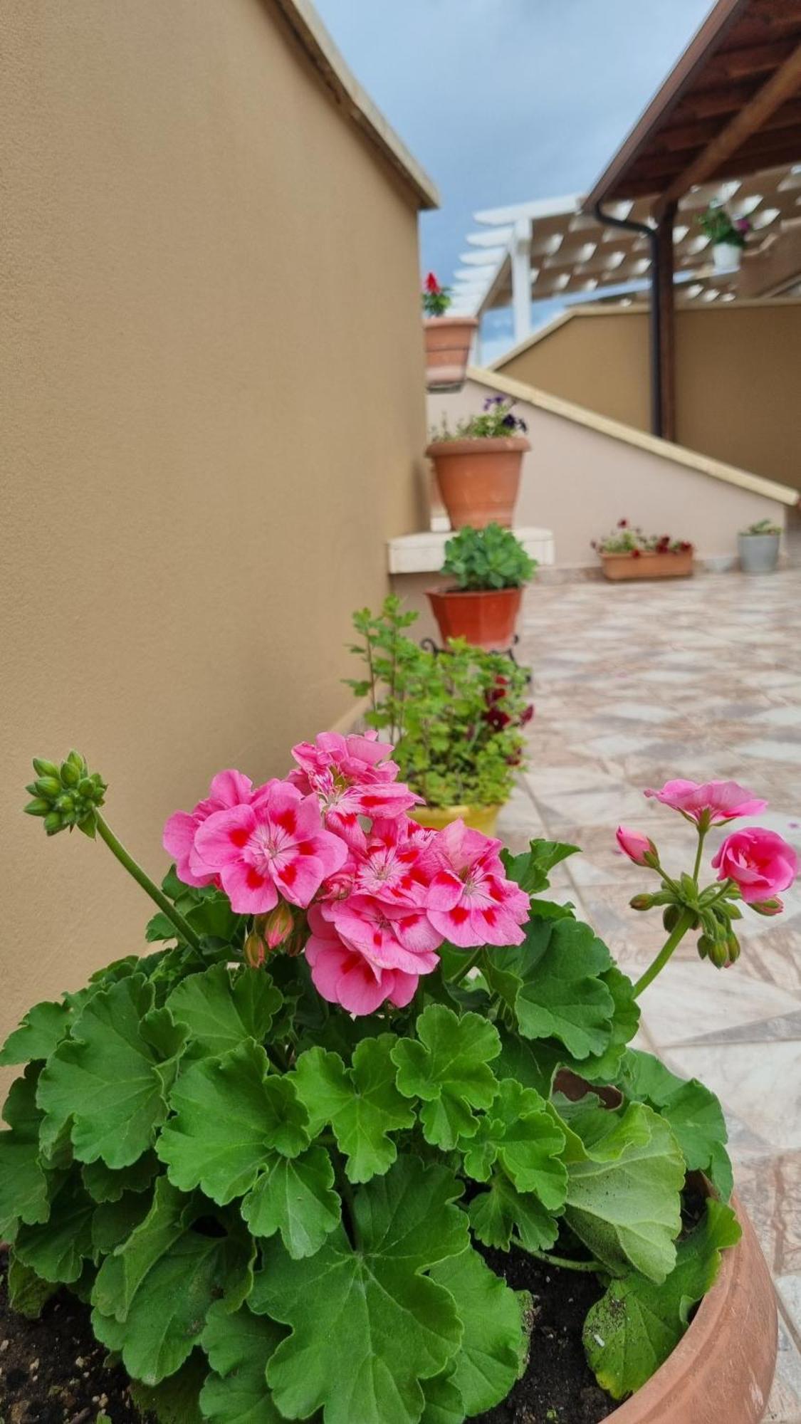 Apartament Luis Penthouse *